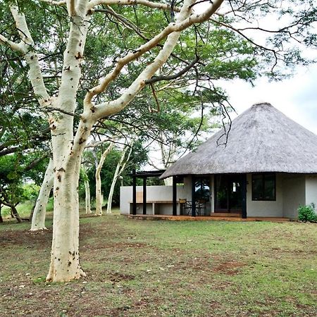Zululand Safari Lodge Hluhluwe Zewnętrze zdjęcie