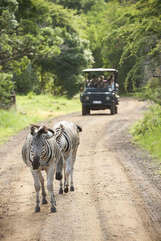 Zululand Safari Lodge Hluhluwe Zewnętrze zdjęcie